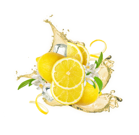 Splash Image