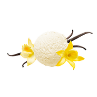 Vanilla Perfection / 30g Sample