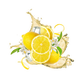 Splash Image