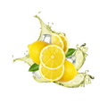 Lemon Iced Tea / 65ml