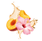 Splash Image