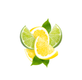 Lemon Lime Soda / 65ml