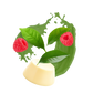 Splash Image