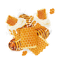 Splash Image