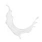 Splash Image