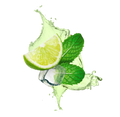 Mojito / 65ml
