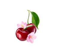 Cherry White Tea / 65ml