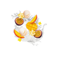 Splash Image