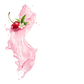 Splash Image