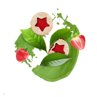 Christmas Strawberry Biscuit / 25g Probe