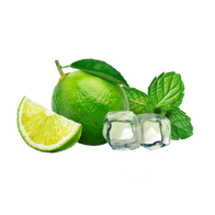 Lemonade Style Virgin Mojito / 30g Sample