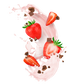 Splash Image