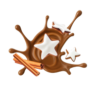 Zimtstern / 12 x 2x25g